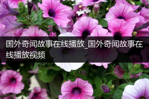国外奇闻故事在线播放_国外奇闻故事在线播放视频