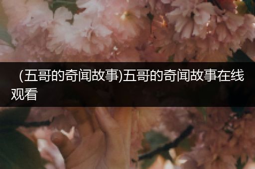 （五哥的奇闻故事)五哥的奇闻故事在线观看