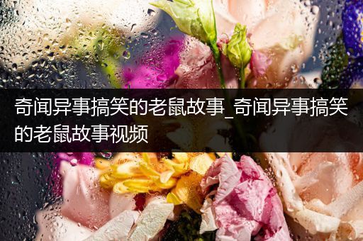 奇闻异事搞笑的老鼠故事_奇闻异事搞笑的老鼠故事视频