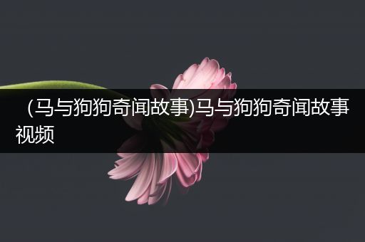 （马与狗狗奇闻故事)马与狗狗奇闻故事视频