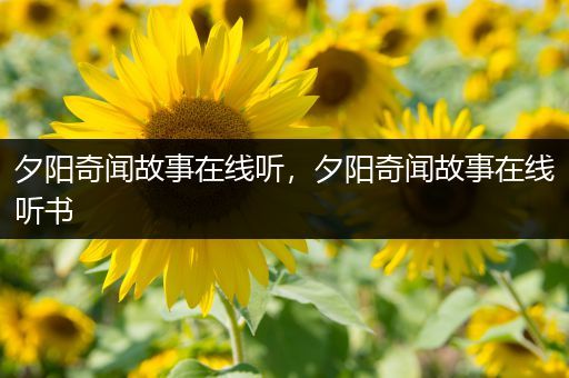 夕阳奇闻故事在线听，夕阳奇闻故事在线听书