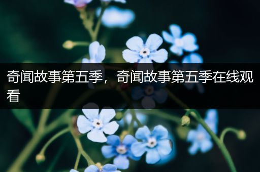 奇闻故事第五季，奇闻故事第五季在线观看