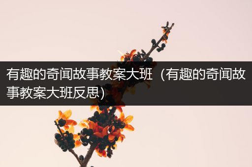 有趣的奇闻故事教案大班（有趣的奇闻故事教案大班反思）