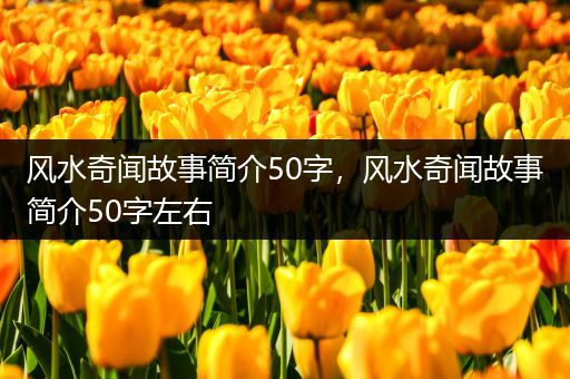 风水奇闻故事简介50字，风水奇闻故事简介50字左右