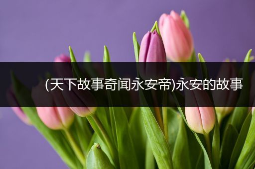 （天下故事奇闻永安帝)永安的故事