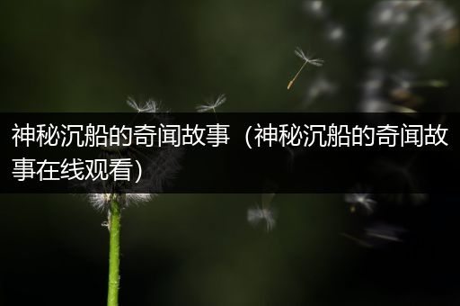 神秘沉船的奇闻故事（神秘沉船的奇闻故事在线观看）