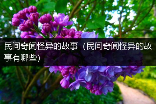 民间奇闻怪异的故事（民间奇闻怪异的故事有哪些）