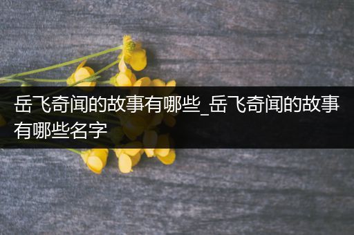 岳飞奇闻的故事有哪些_岳飞奇闻的故事有哪些名字