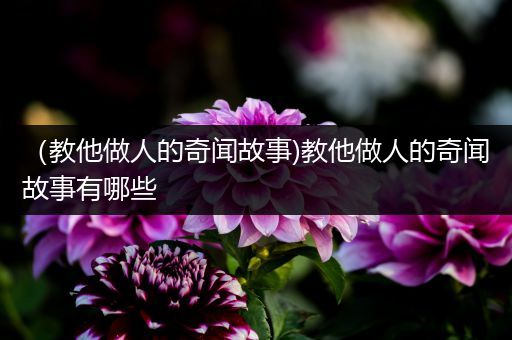 （教他做人的奇闻故事)教他做人的奇闻故事有哪些