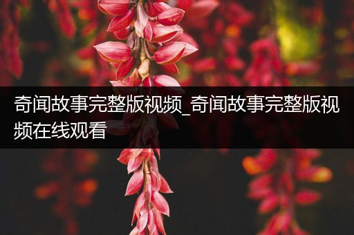 奇闻故事完整版视频_奇闻故事完整版视频在线观看