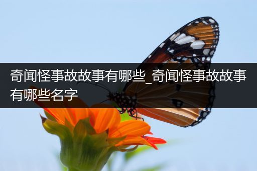 奇闻怪事故故事有哪些_奇闻怪事故故事有哪些名字