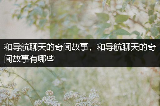 和导航聊天的奇闻故事，和导航聊天的奇闻故事有哪些