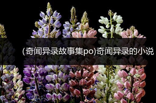 （奇闻异录故事集po)奇闻异录的小说