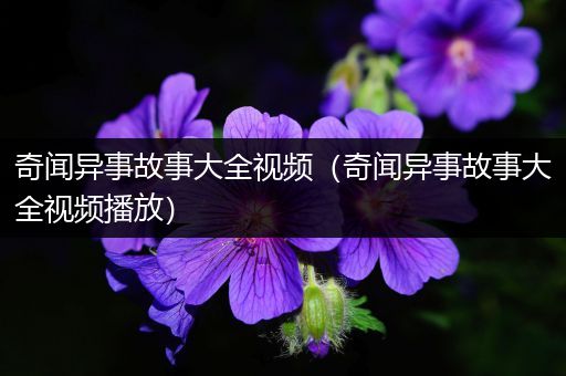 奇闻异事故事大全视频（奇闻异事故事大全视频播放）