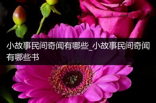 小故事民间奇闻有哪些_小故事民间奇闻有哪些书