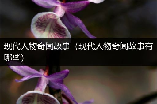 现代人物奇闻故事（现代人物奇闻故事有哪些）
