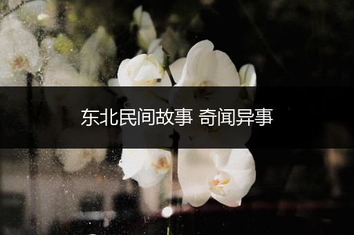 东北民间故事 奇闻异事