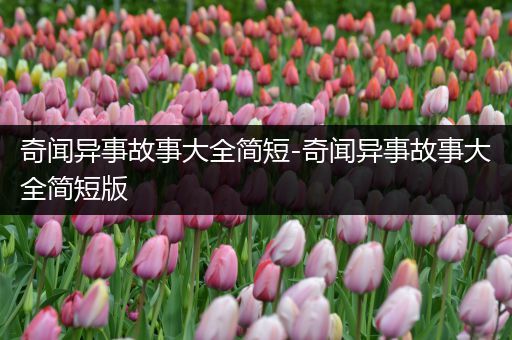 奇闻异事故事大全简短-奇闻异事故事大全简短版