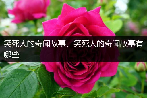 笑死人的奇闻故事，笑死人的奇闻故事有哪些
