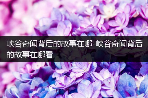 峡谷奇闻背后的故事在哪-峡谷奇闻背后的故事在哪看