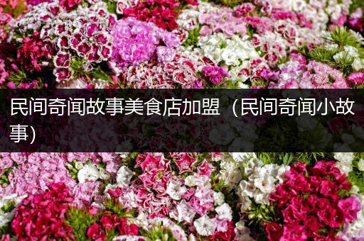 民间奇闻故事美食店加盟（民间奇闻小故事）