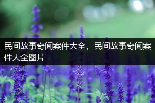 民间故事奇闻案件大全，民间故事奇闻案件大全图片