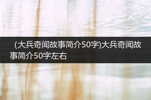 （大兵奇闻故事简介50字)大兵奇闻故事简介50字左右