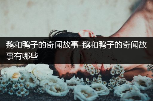 鹅和鸭子的奇闻故事-鹅和鸭子的奇闻故事有哪些