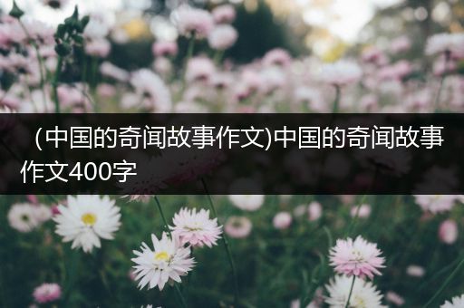 （中国的奇闻故事作文)中国的奇闻故事作文400字