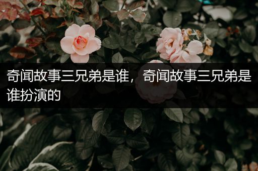 奇闻故事三兄弟是谁，奇闻故事三兄弟是谁扮演的