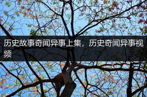 历史故事奇闻异事上集，历史奇闻异事视频