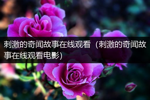 刺激的奇闻故事在线观看（刺激的奇闻故事在线观看电影）