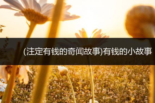 （注定有钱的奇闻故事)有钱的小故事