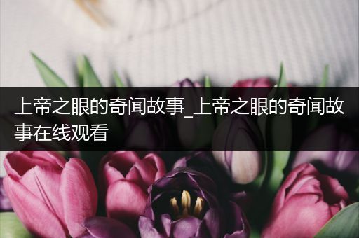 上帝之眼的奇闻故事_上帝之眼的奇闻故事在线观看