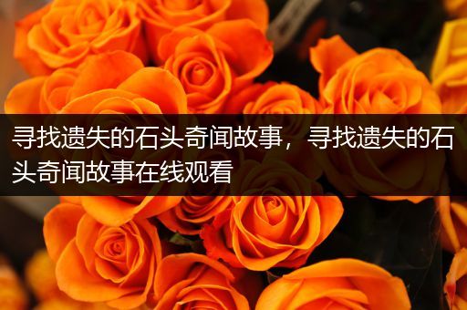 寻找遗失的石头奇闻故事，寻找遗失的石头奇闻故事在线观看