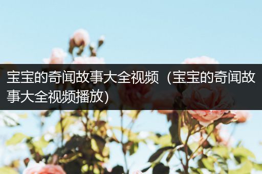 宝宝的奇闻故事大全视频（宝宝的奇闻故事大全视频播放）