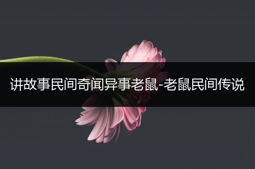 讲故事民间奇闻异事老鼠-老鼠民间传说