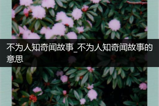 不为人知奇闻故事_不为人知奇闻故事的意思