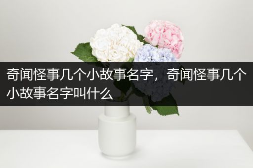 奇闻怪事几个小故事名字，奇闻怪事几个小故事名字叫什么