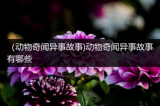 （动物奇闻异事故事)动物奇闻异事故事有哪些