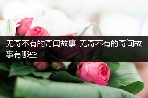 无奇不有的奇闻故事_无奇不有的奇闻故事有哪些