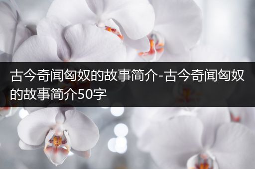 古今奇闻匈奴的故事简介-古今奇闻匈奴的故事简介50字
