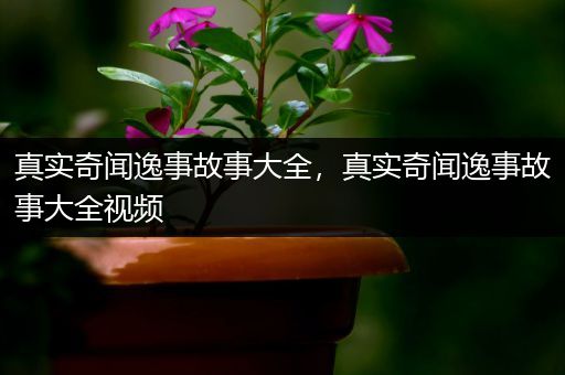 真实奇闻逸事故事大全，真实奇闻逸事故事大全视频