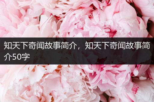 知天下奇闻故事简介，知天下奇闻故事简介50字