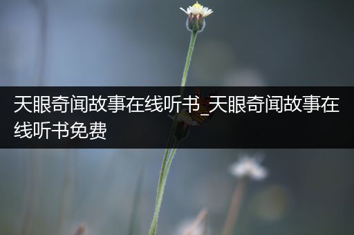 天眼奇闻故事在线听书_天眼奇闻故事在线听书免费