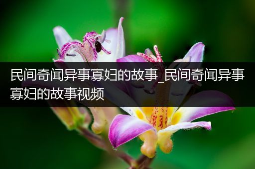 民间奇闻异事寡妇的故事_民间奇闻异事寡妇的故事视频