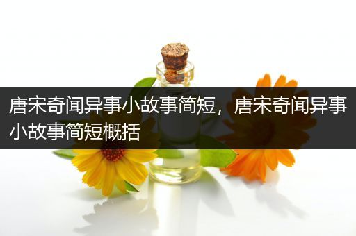 唐宋奇闻异事小故事简短，唐宋奇闻异事小故事简短概括