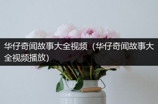 华仔奇闻故事大全视频（华仔奇闻故事大全视频播放）