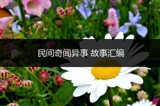 民间奇闻异事 故事汇编