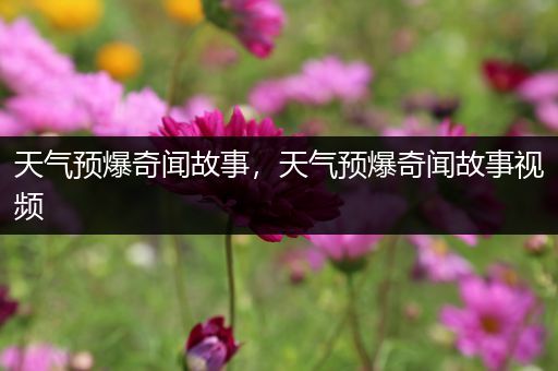 天气预爆奇闻故事，天气预爆奇闻故事视频